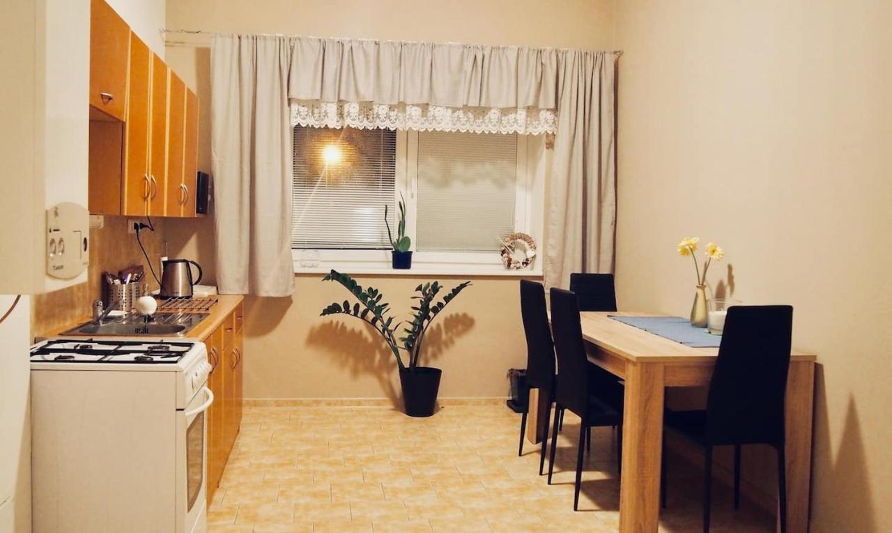Cozy Apartment At River Labe Near Center And Train Ústí nad Labem Exterior foto